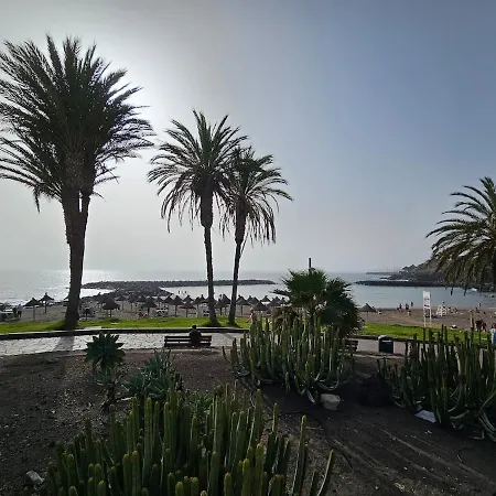 Tenerife Vibes - Ponderosa 204 أذيخي