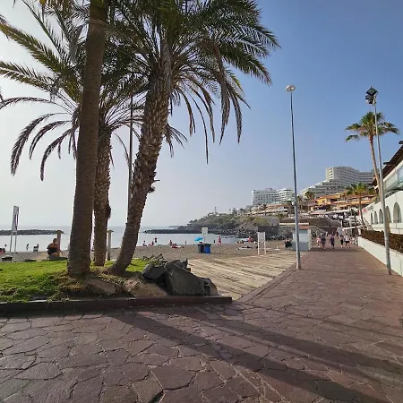 Tenerife Vibes - Ponderosa 204